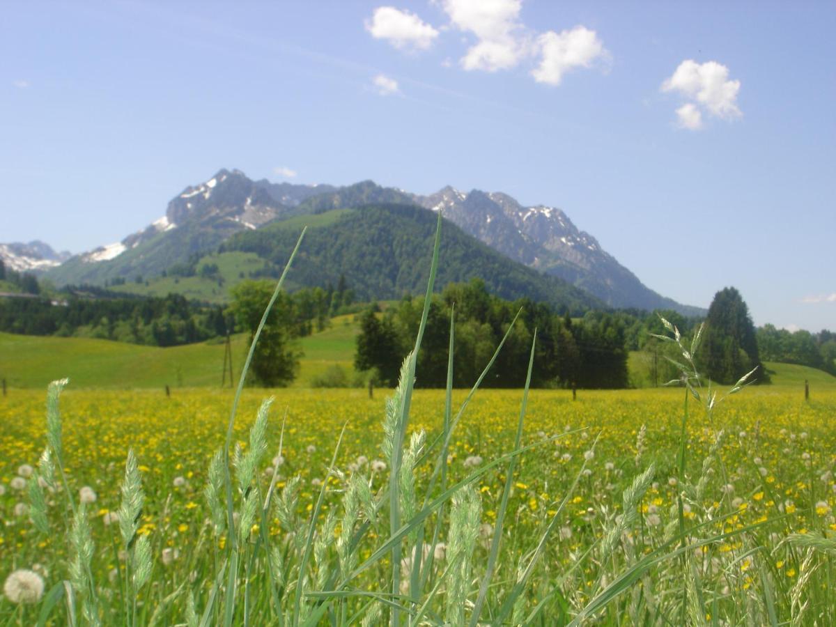 Bio-Bauernhof Bachangerhof Kössen Esterno foto