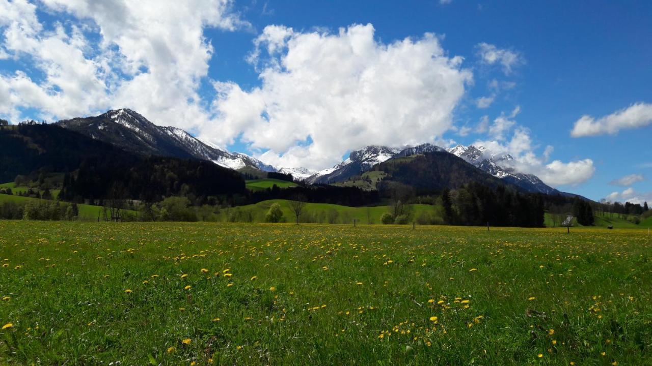 Bio-Bauernhof Bachangerhof Kössen Esterno foto