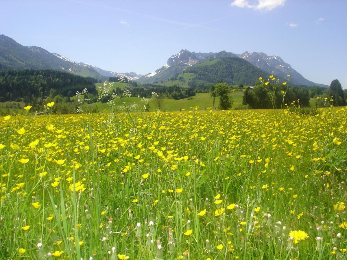Bio-Bauernhof Bachangerhof Kössen Esterno foto
