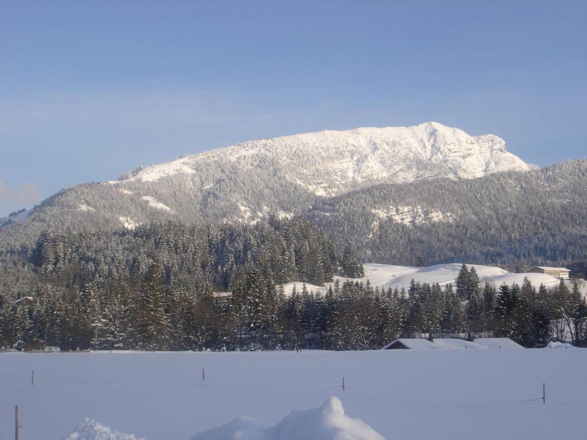 Bio-Bauernhof Bachangerhof Kössen Esterno foto