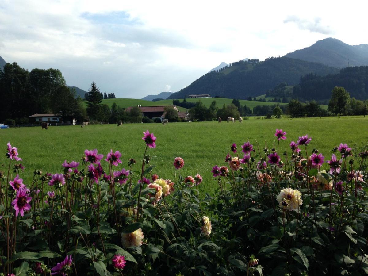 Bio-Bauernhof Bachangerhof Kössen Esterno foto