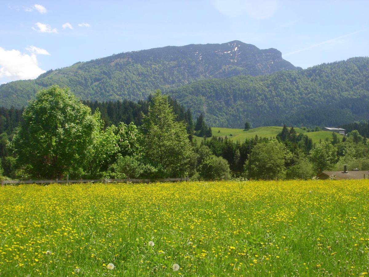 Bio-Bauernhof Bachangerhof Kössen Esterno foto
