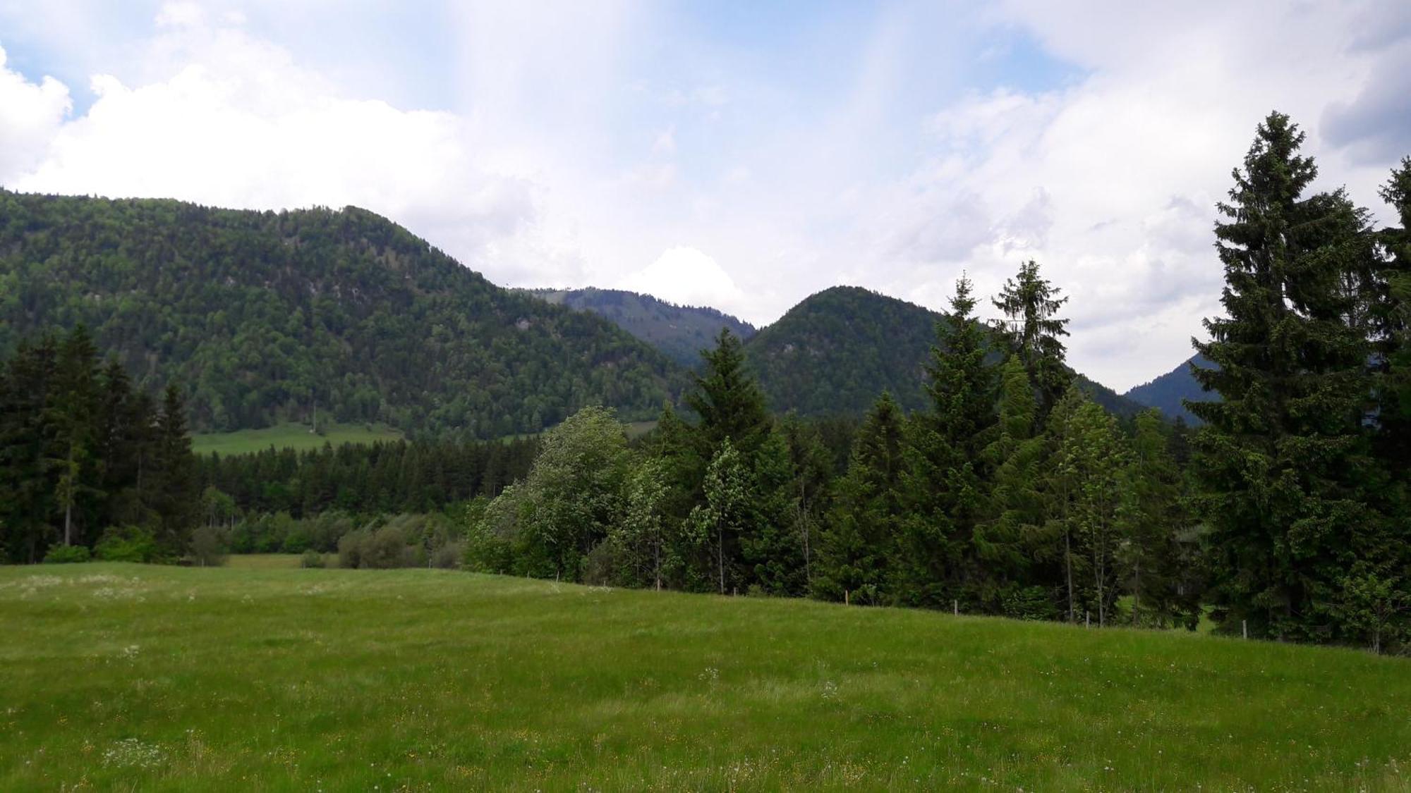 Bio-Bauernhof Bachangerhof Kössen Esterno foto