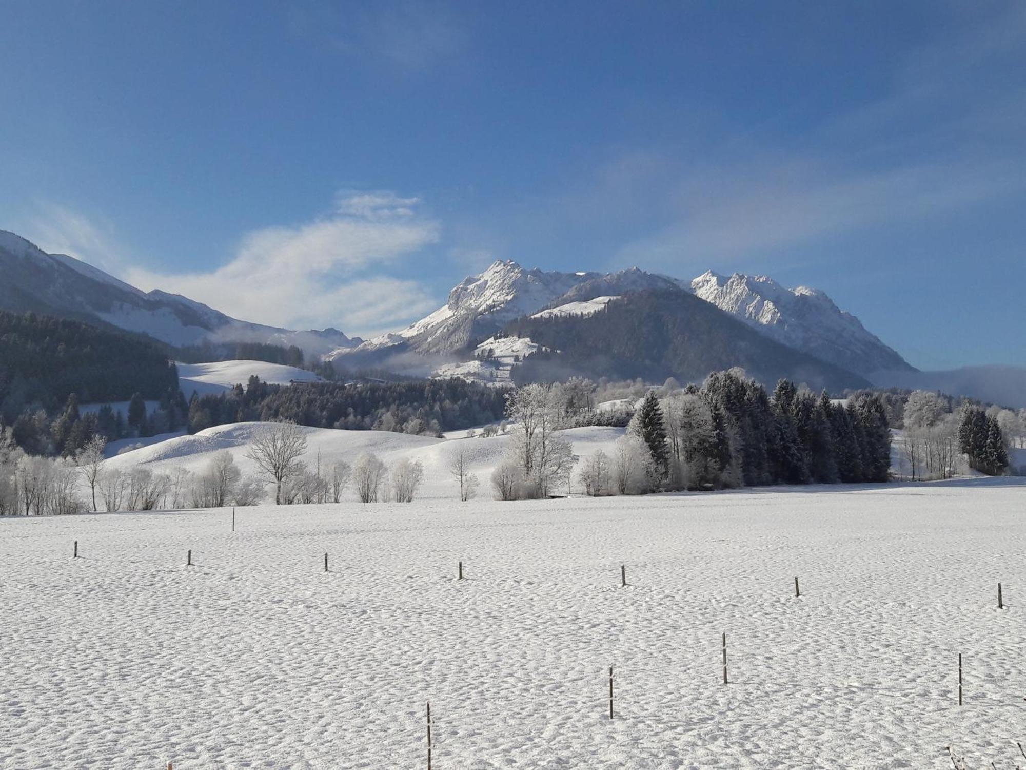 Bio-Bauernhof Bachangerhof Kössen Esterno foto